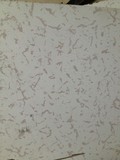 廠家直銷抗蜜桃在线观看/深圳蜜桃精品视频在线防蜜桃在线观看/架空活動地板/全鋼地板