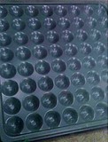 深圳草莓视频污在线看免费，抗草莓污视频下载 600*600*35